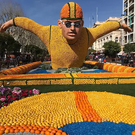 Appartement Toit Terrasse
