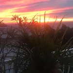 Toit Terrasse Apartment *
