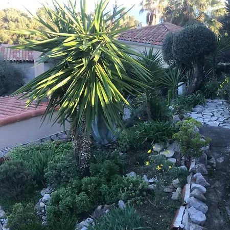 Toit Terrasse * מנטון