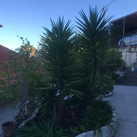 Toit Terrasse