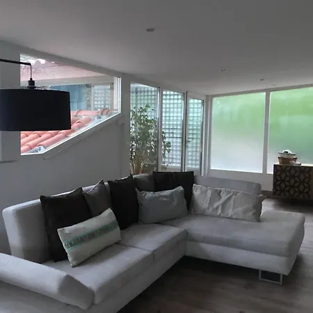 Toit Terrasse Daire