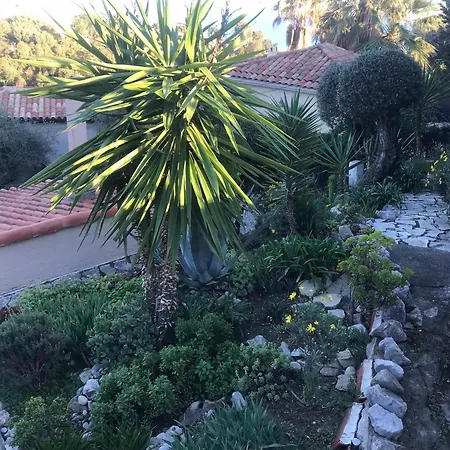 Toit Terrasse דירה