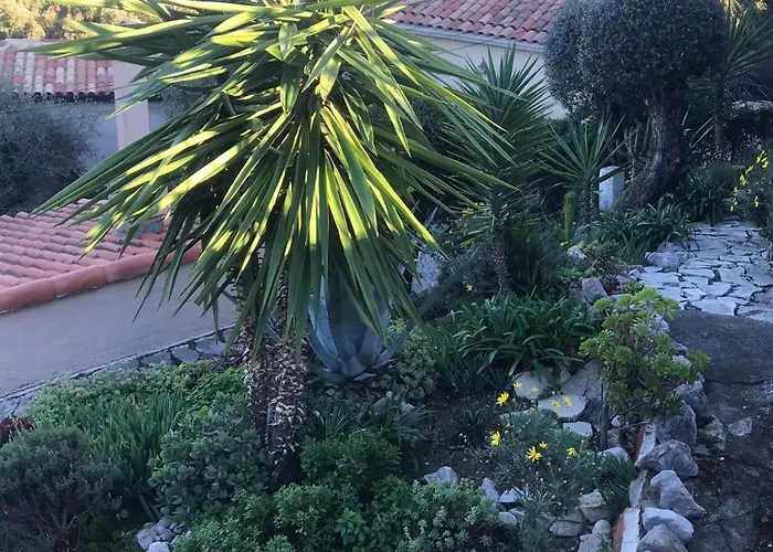 Toit Terrasse Apartament